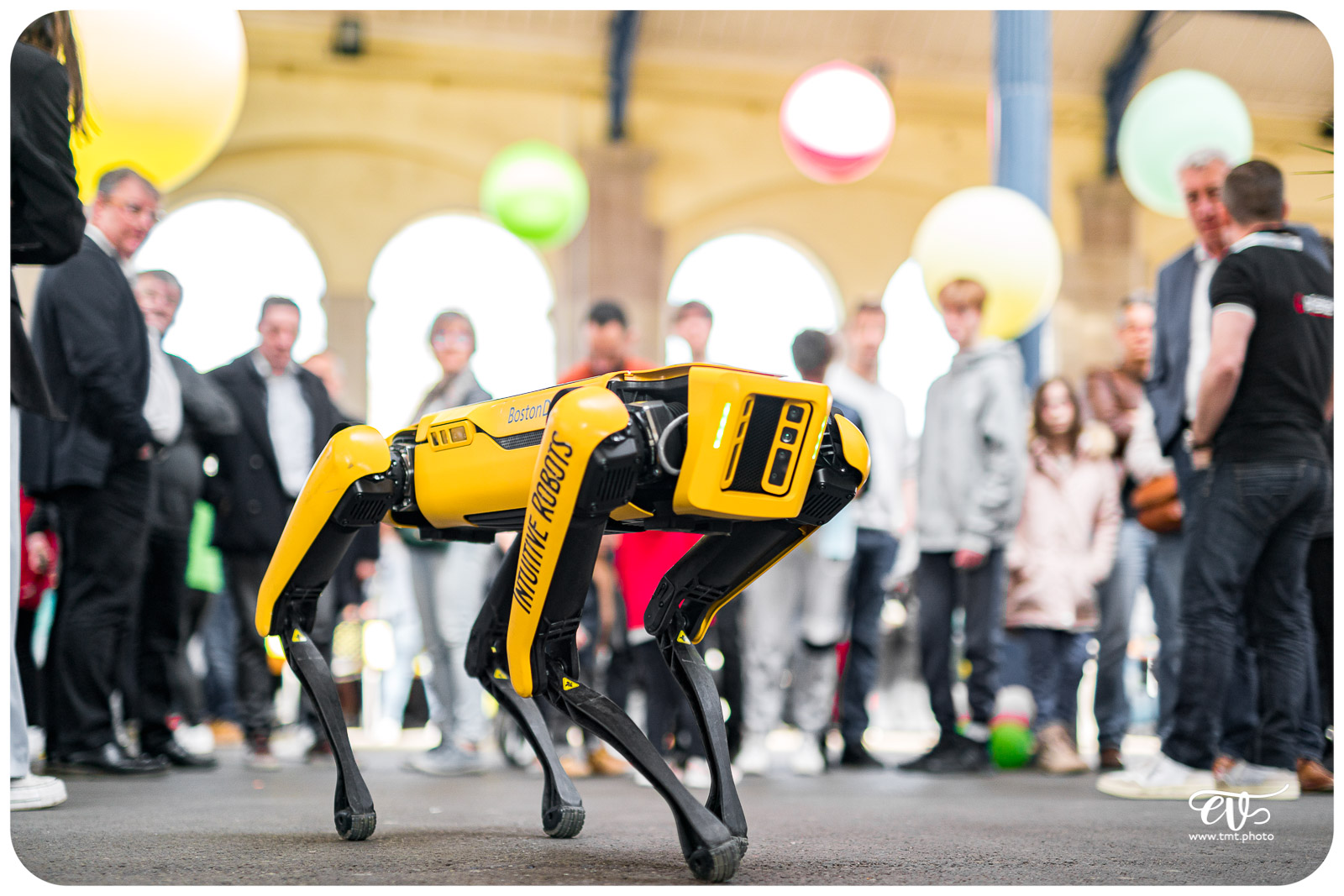 SPOT (BOSTON DYNAMICS)